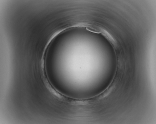 X0000115390900200911101450