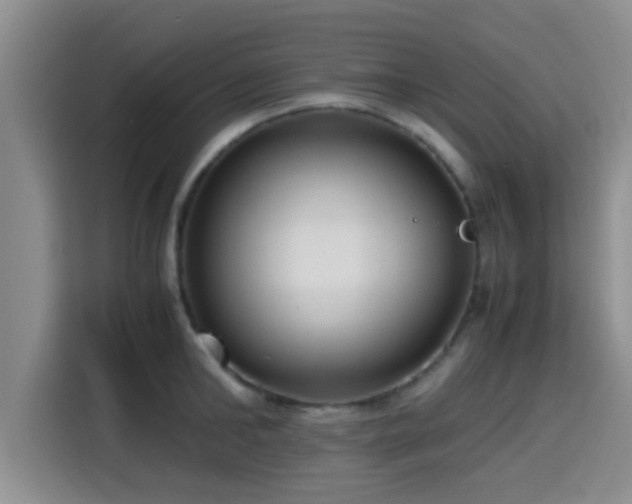 X0000115390902200911101450