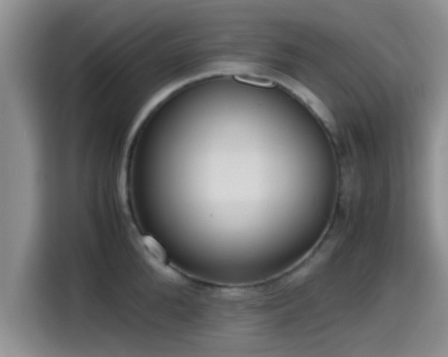X0000115390904200911101450