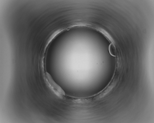 X0000115390906200911101450