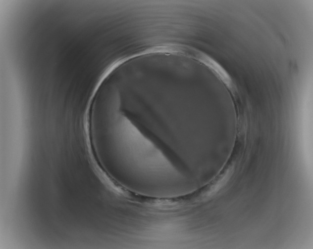 X0000115390907200911101450