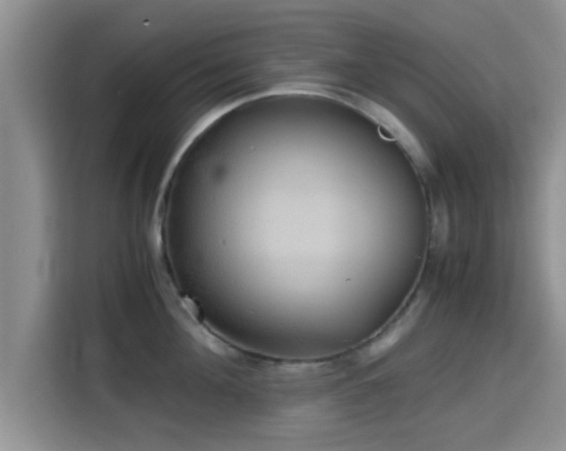 X0000115390908200911101450