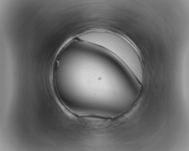 X0000115390909200911101450