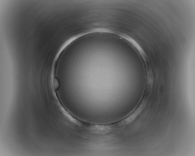 X0000115390910200911101450