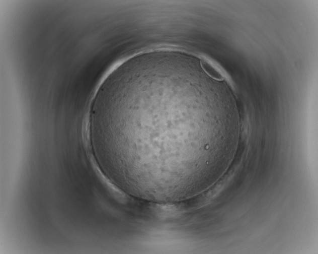 X0000115390911200911101450