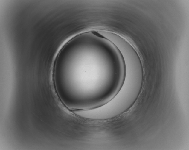 X0000115390912200911101450