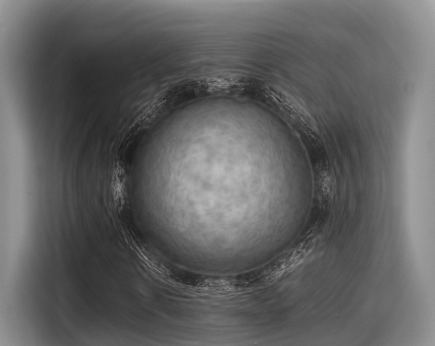 X0000115390914200911101449