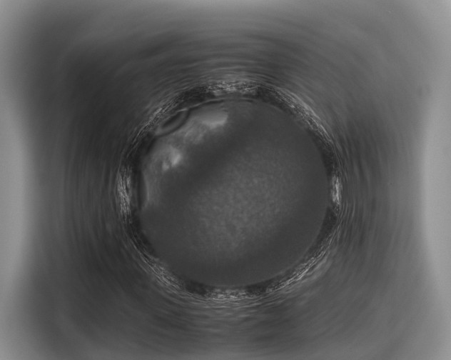 X0000115390915200911101449