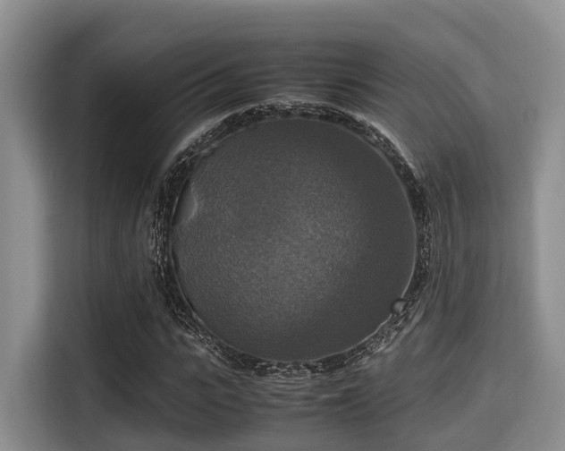 X0000115390919200911101449