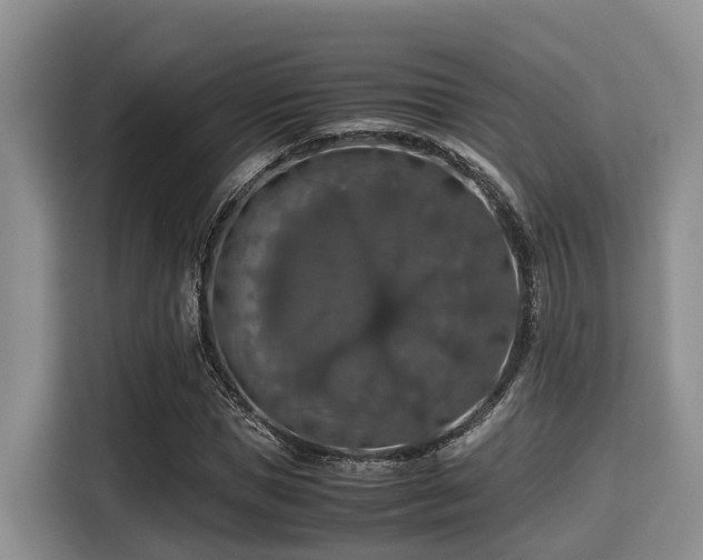X0000115390921200911101449