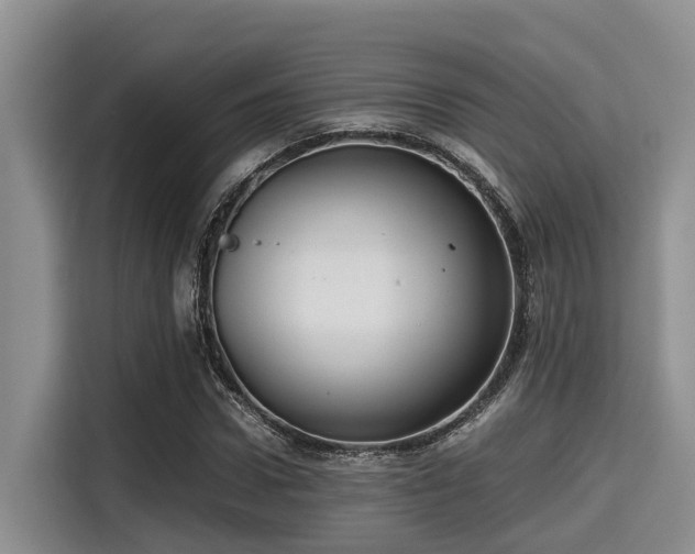 X0000115390922200911101449