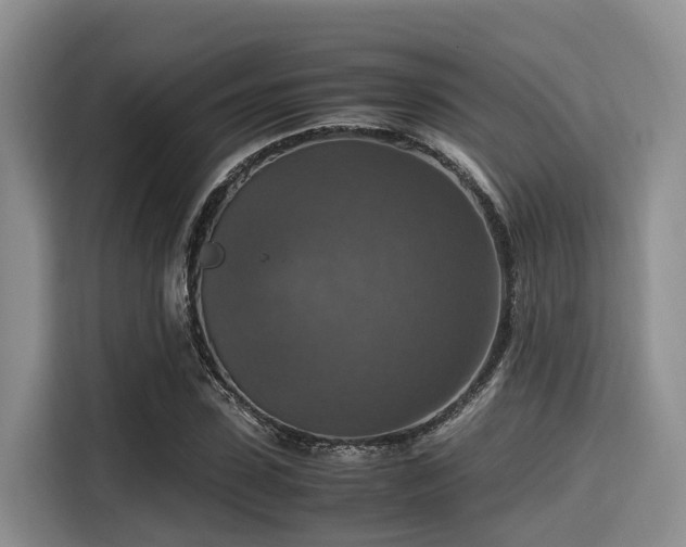X0000115390923200911101449