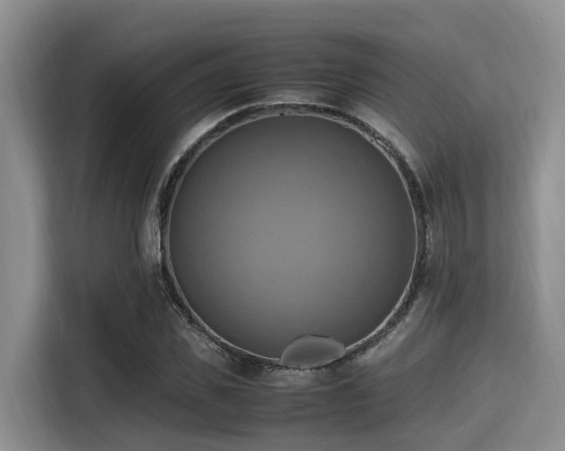 X0000115390925200911101449