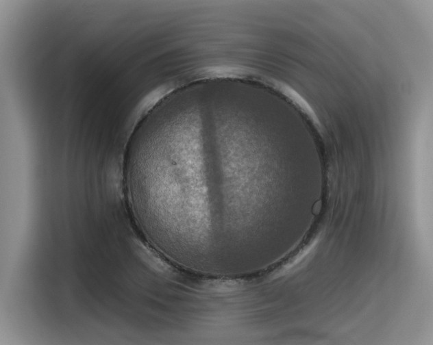 X0000115390930200911101449