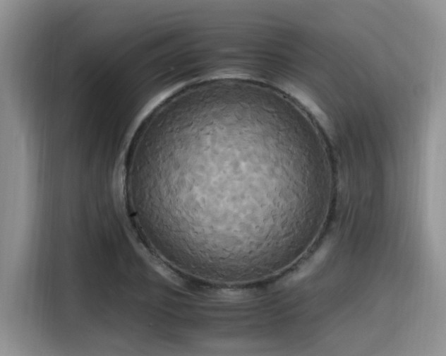X0000115390933200911101449