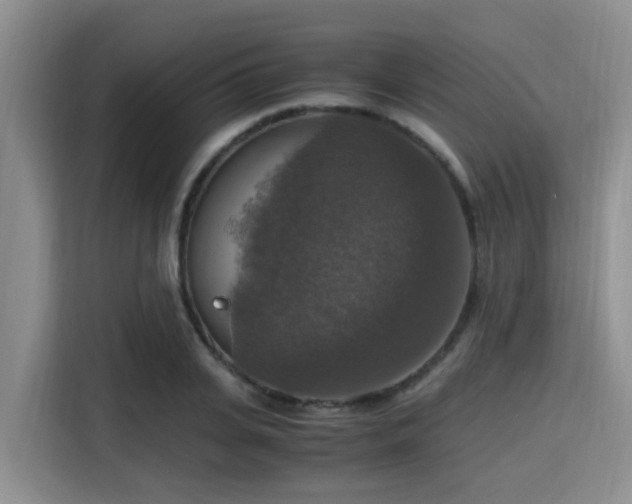 X0000115390935200911101449