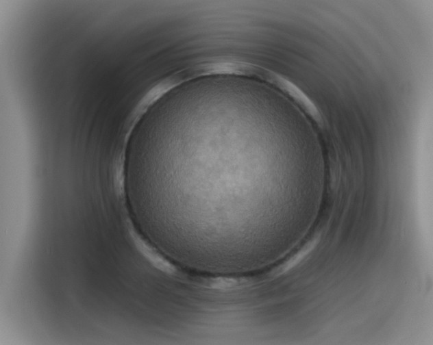 X0000115390938200911101449