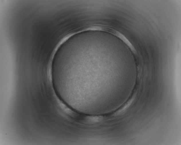 X0000115390939200911101449