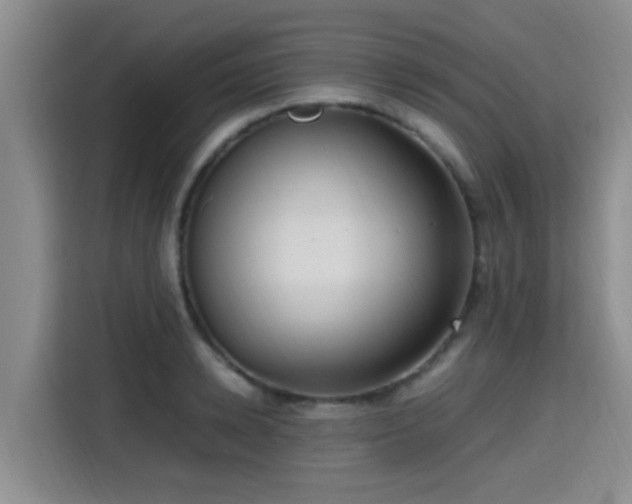 X0000115390942200911101449