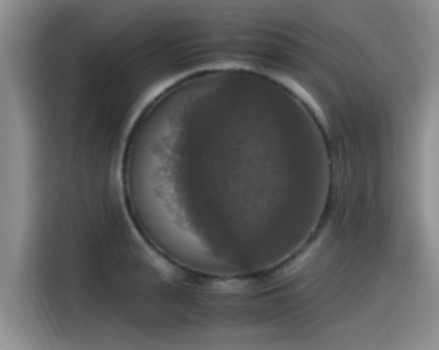 X0000115390943200911101449