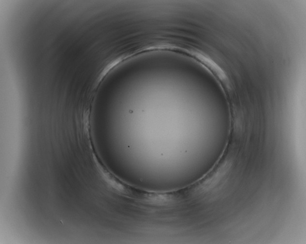 X0000115390945200911101449