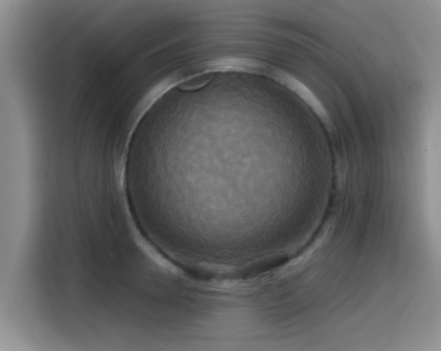 X0000115390946200911101449