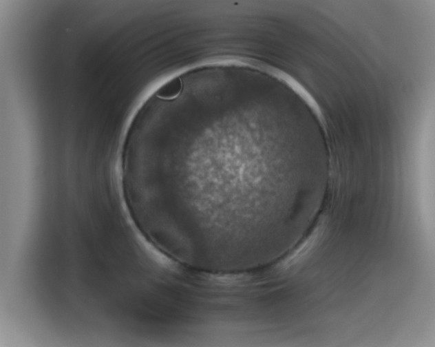 X0000115390951200911101449