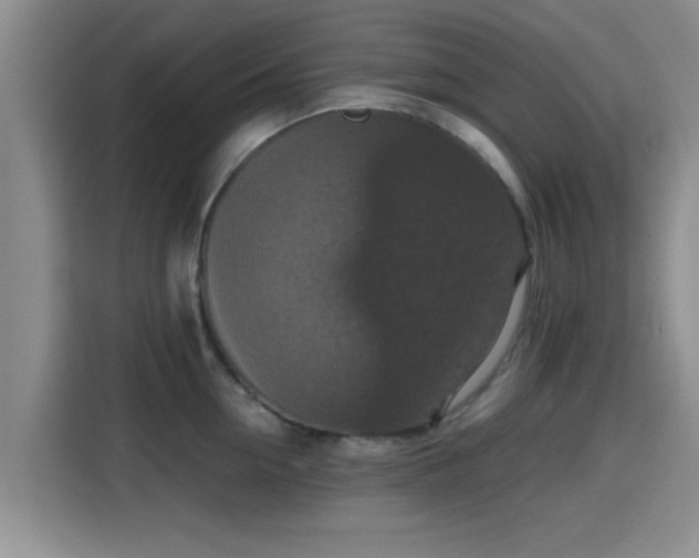 X0000115390954200911101449