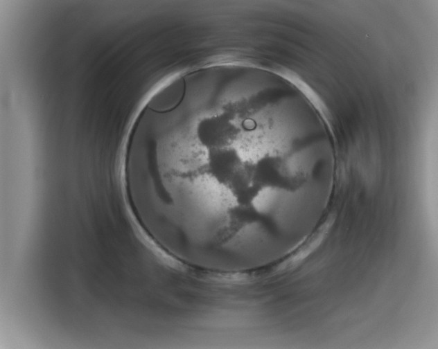 X0000115390957200911101450