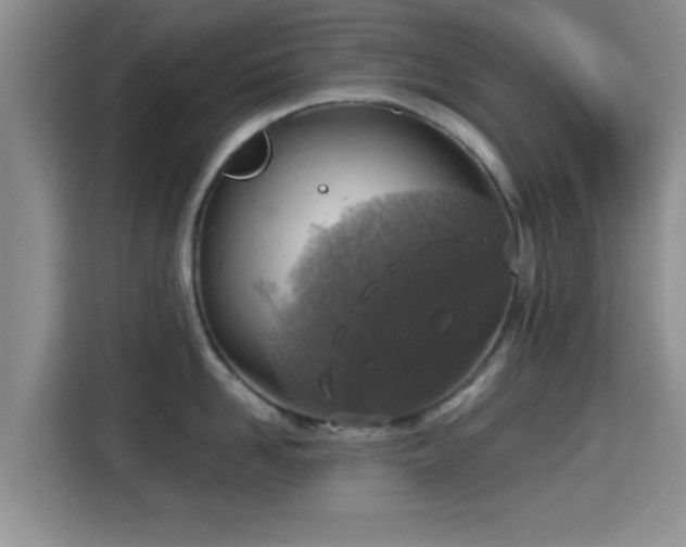 X0000115390958200911101450
