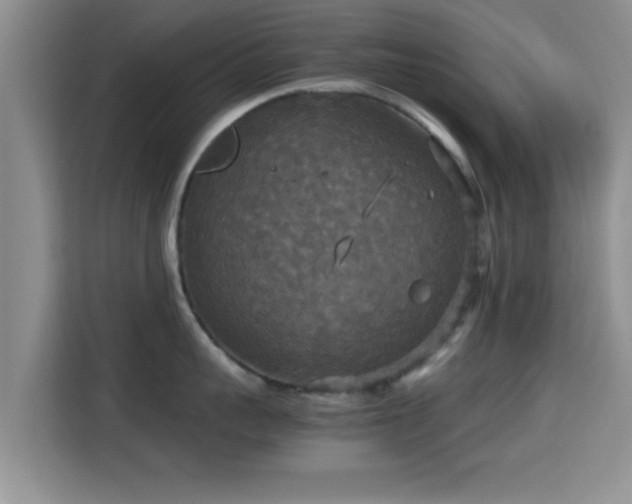 X0000115390959200911101450