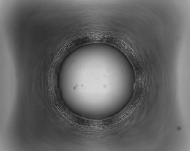 X0000115390961200911101449