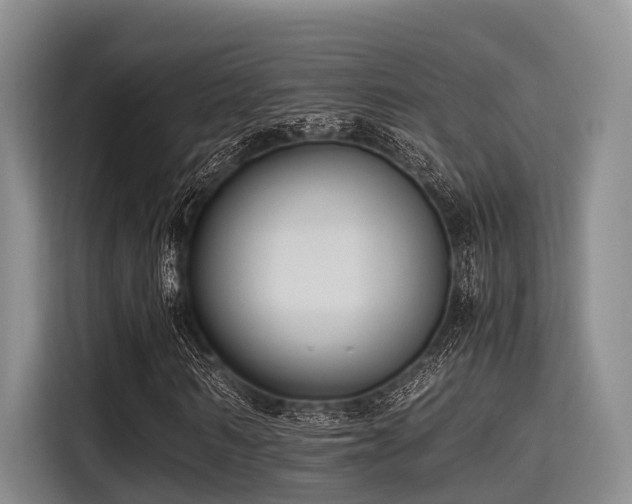 X0000115390962200911101449