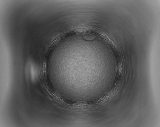 X0000115390964200911101449