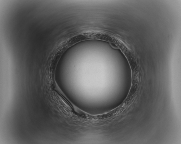 X0000115390965200911101449