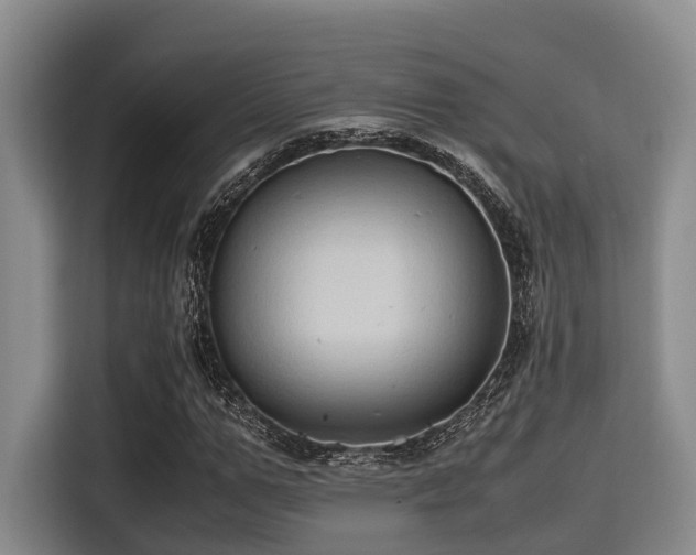 X0000115390967200911101449