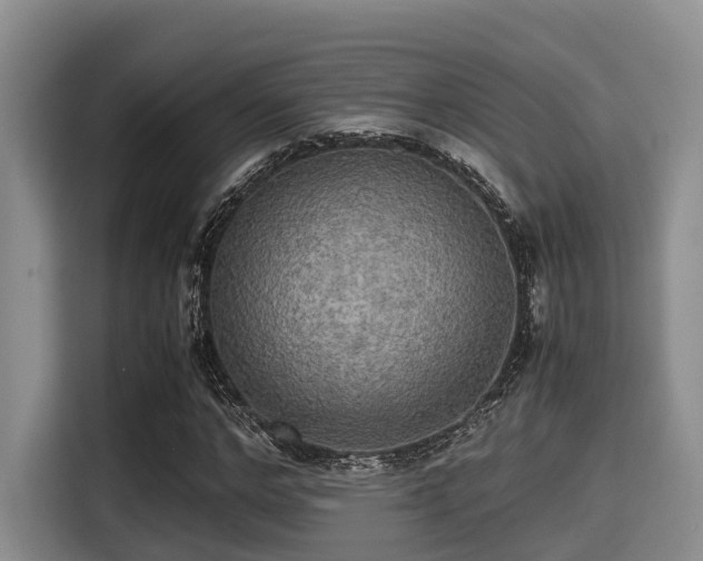 X0000115390968200911101449