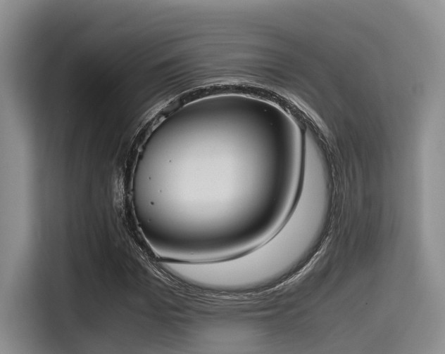 X0000115390969200911101449