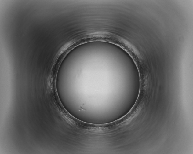 X0000115390970200911101449