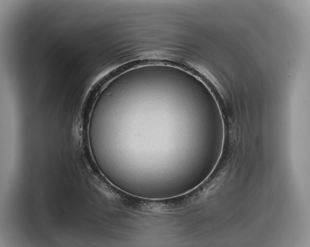 X0000115390971200911101449