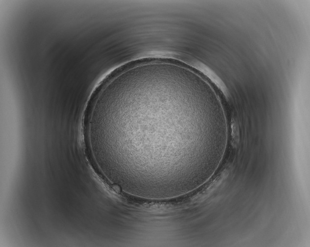 X0000115390972200911101449