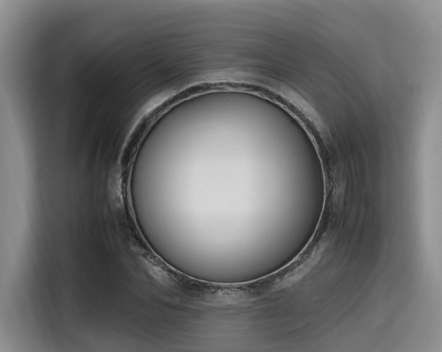 X0000115390974200911101449