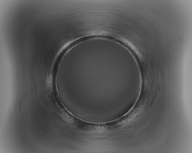 X0000115390975200911101449