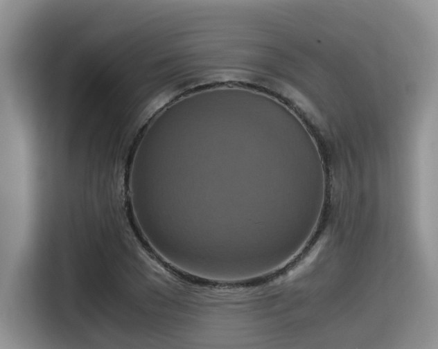 X0000115390977200911101449