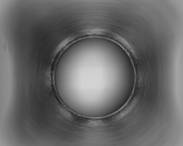 X0000115390978200911101449
