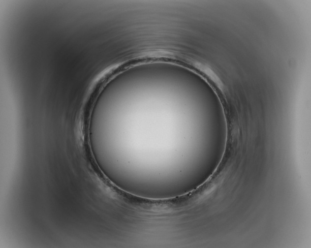 X0000115390979200911101449
