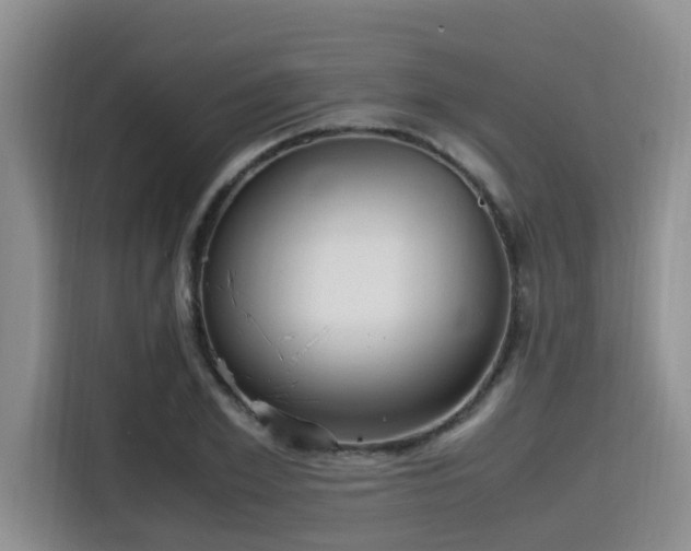 X0000115390981200911101449