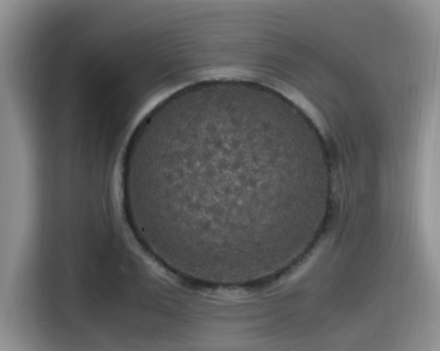 X0000115390983200911101449