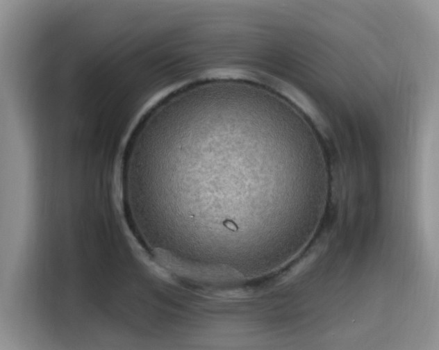 X0000115390984200911101449