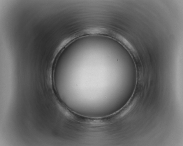 X0000115390986200911101449